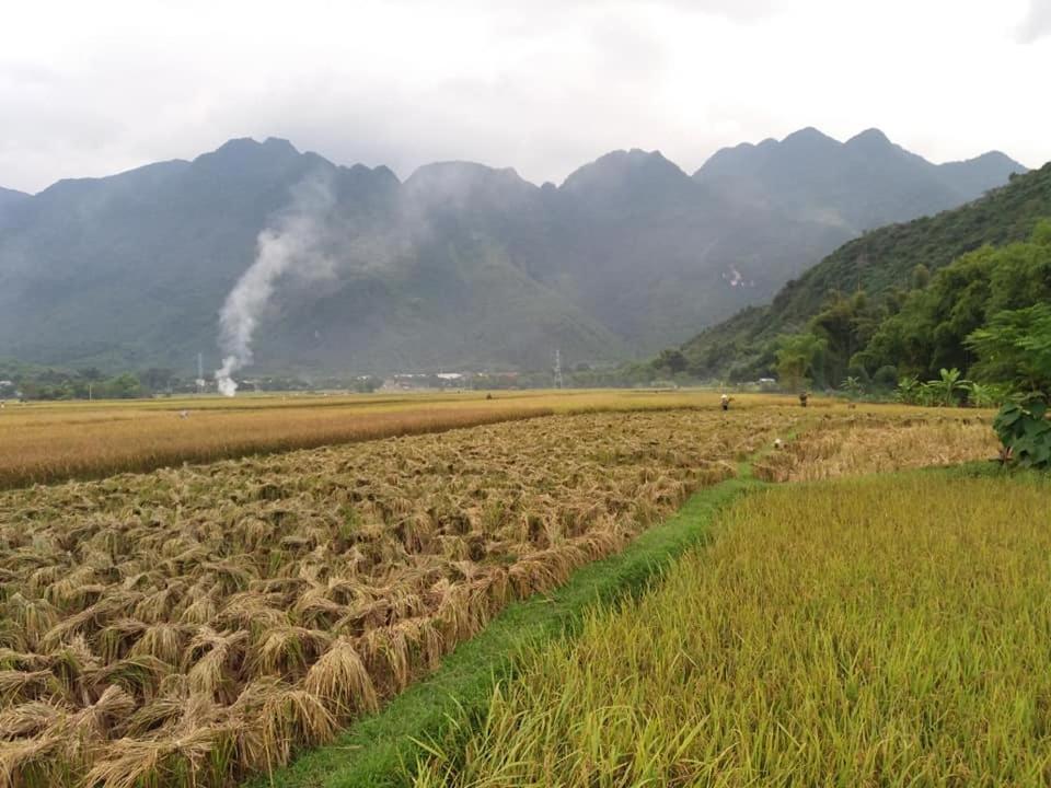 Mai Chau Xanh Bungalow Exteriör bild